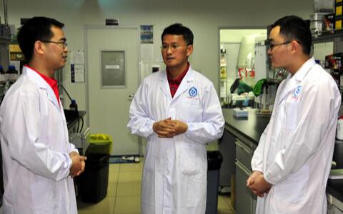 三七，文山三七